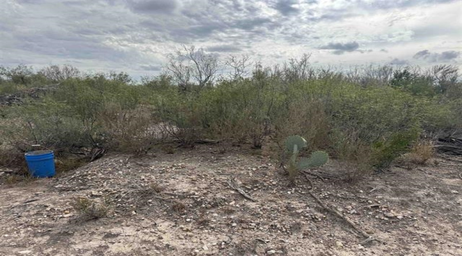 000 Valdez, Laredo, Texas 78041, ,Land,For Sale,000 Valdez,20263434