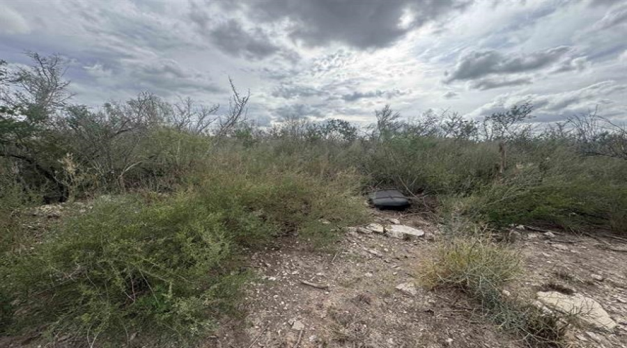 000 Valdez, Laredo, Texas 78041, ,Land,For Sale,000 Valdez,20263434