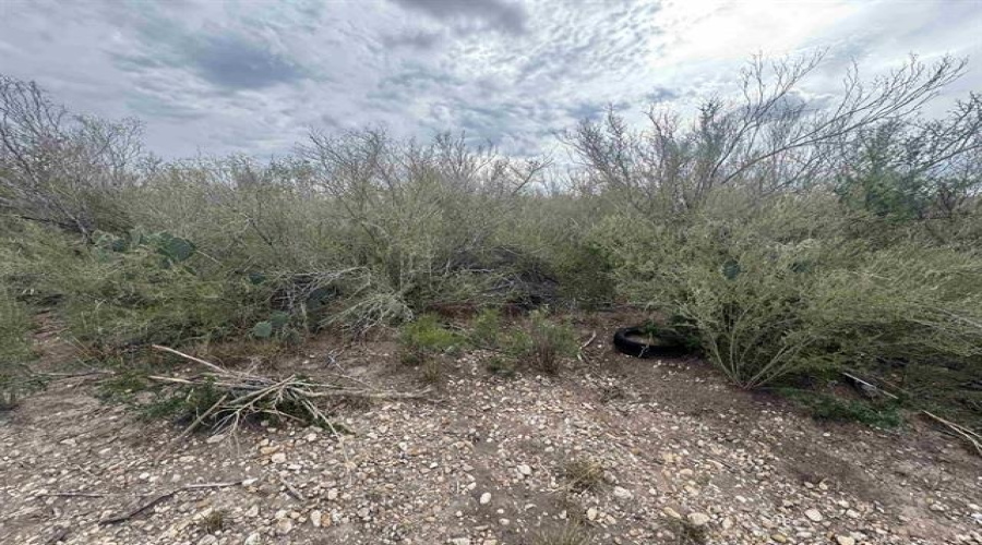 000 Valdez, Laredo, Texas 78041, ,Land,For Sale,000 Valdez,20263434