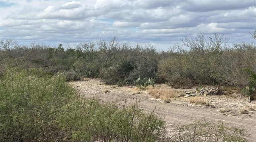 000 Valdez, Laredo, Texas 78041, ,Land,For Sale,000 Valdez,20263434