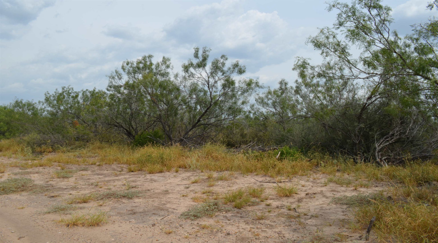 10 Acres U.S. Hwy 359, Laredo, Texas 78043, ,Land,For Sale,10 Acres U.S. Hwy 359,20263481