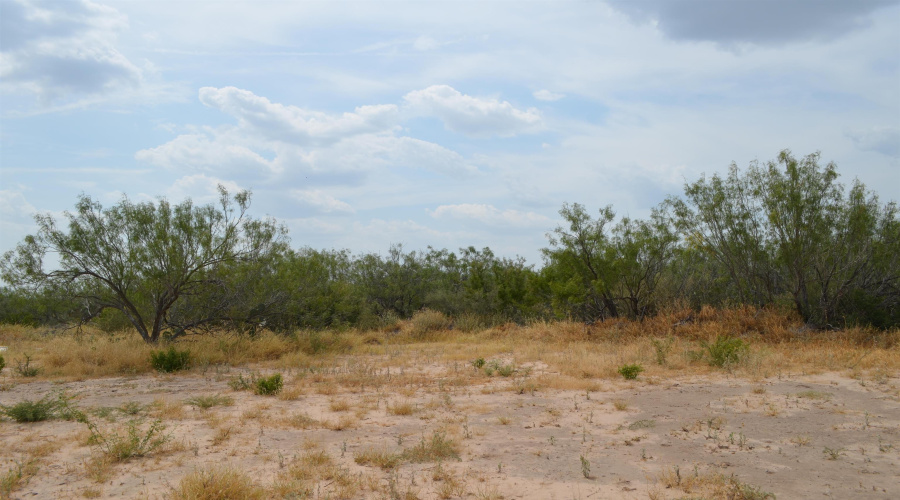 10 Acres U.S. Hwy 359, Laredo, Texas 78043, ,Land,For Sale,10 Acres U.S. Hwy 359,20263481