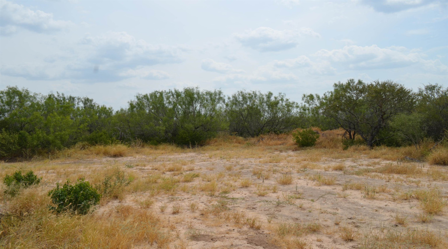 10 Acres U.S. Hwy 359, Laredo, Texas 78043, ,Land,For Sale,10 Acres U.S. Hwy 359,20263481