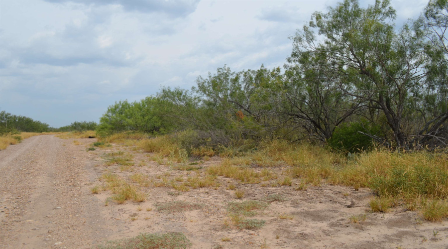 10 Acres U.S. Hwy 359, Laredo, Texas 78043, ,Land,For Sale,10 Acres U.S. Hwy 359,20263481