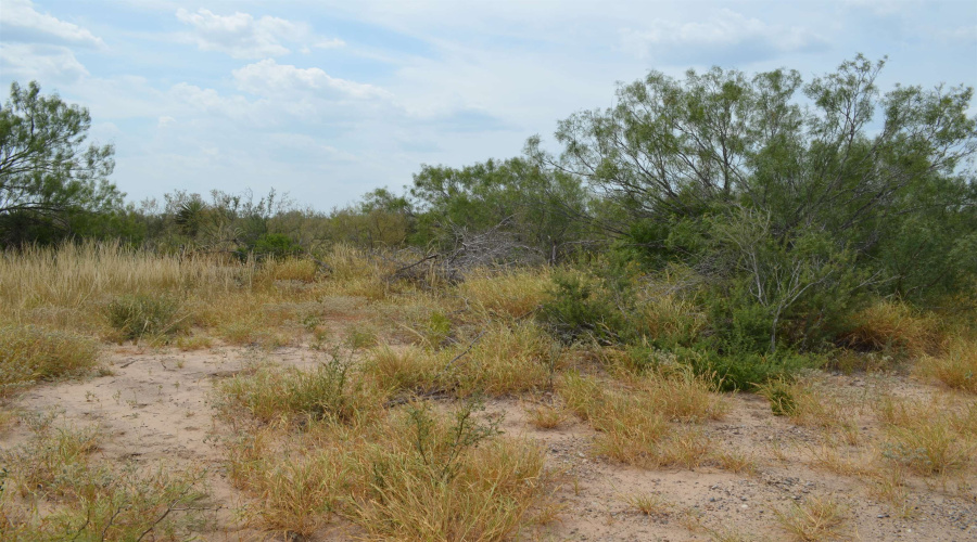 10 Acres U.S. Hwy 359, Laredo, Texas 78043, ,Land,For Sale,10 Acres U.S. Hwy 359,20263481