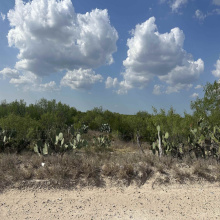 Las Pilas TR 86 LAS PILAS I, Laredo, Texas 78045-000, ,Land,For Sale,Las Pilas TR 86 LAS PILAS I,20263498
