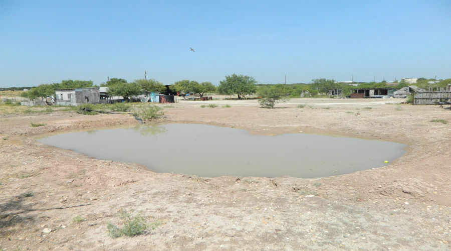 Lot 29 Ranchitos Los Nopalitos, Laredo, Texas 78043, ,Land,For Sale,Lot 29 Ranchitos Los Nopalitos,20263500