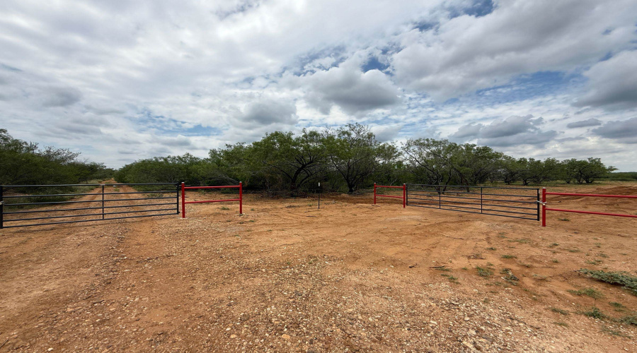 AB 27 Adams Beaty & Moulton SV-77, COTULLA, Texas 78014, ,Land,For Sale,AB 27 Adams Beaty & Moulton SV-77,20263518