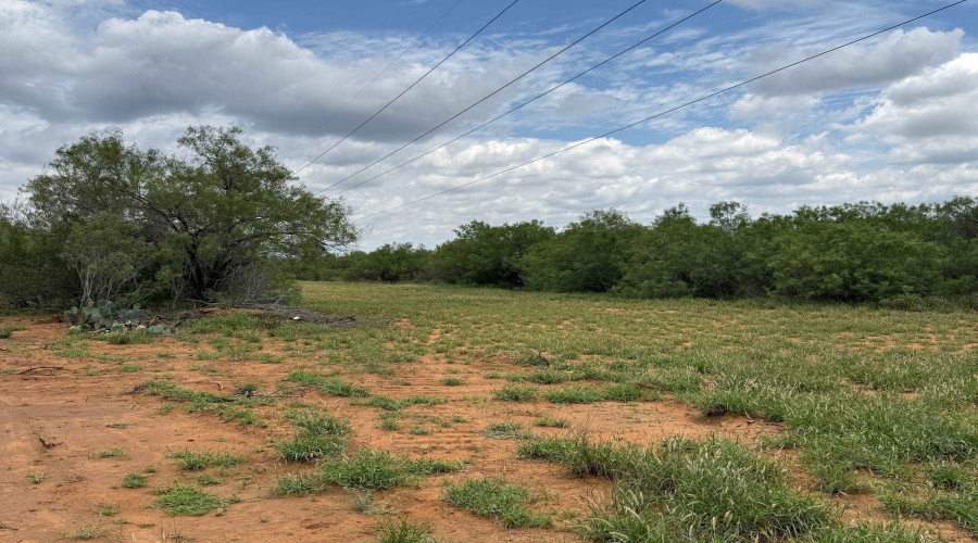 AB 27 Adams Beaty & Moulton SV-77, COTULLA, Texas 78014, ,Land,For Sale,AB 27 Adams Beaty & Moulton SV-77,20263518