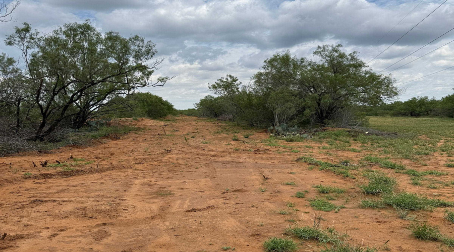 AB 27 Adams Beaty & Moulton SV-77, COTULLA, Texas 78014, ,Land,For Sale,AB 27 Adams Beaty & Moulton SV-77,20263518