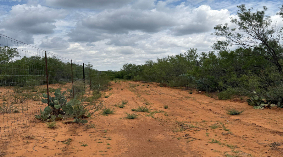 AB 27 Adams Beaty & Moulton SV-77, COTULLA, Texas 78014, ,Land,For Sale,AB 27 Adams Beaty & Moulton SV-77,20263518