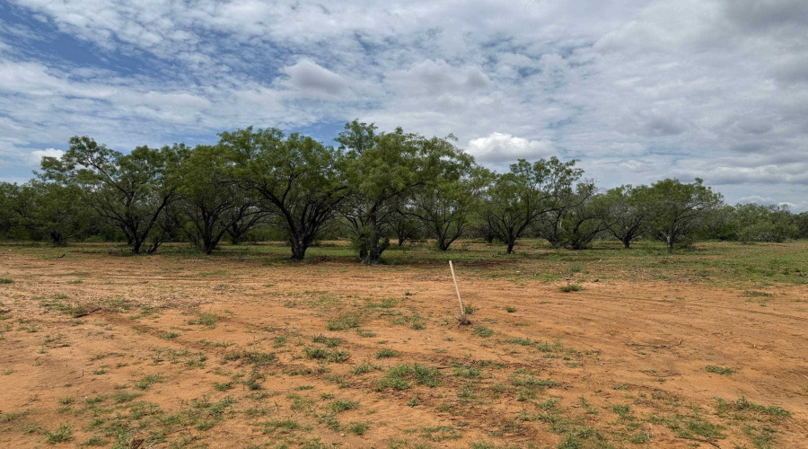 AB 27 Adams Beaty & Moulton SV-77, COTULLA, Texas 78014, ,Land,For Sale,AB 27 Adams Beaty & Moulton SV-77,20263518