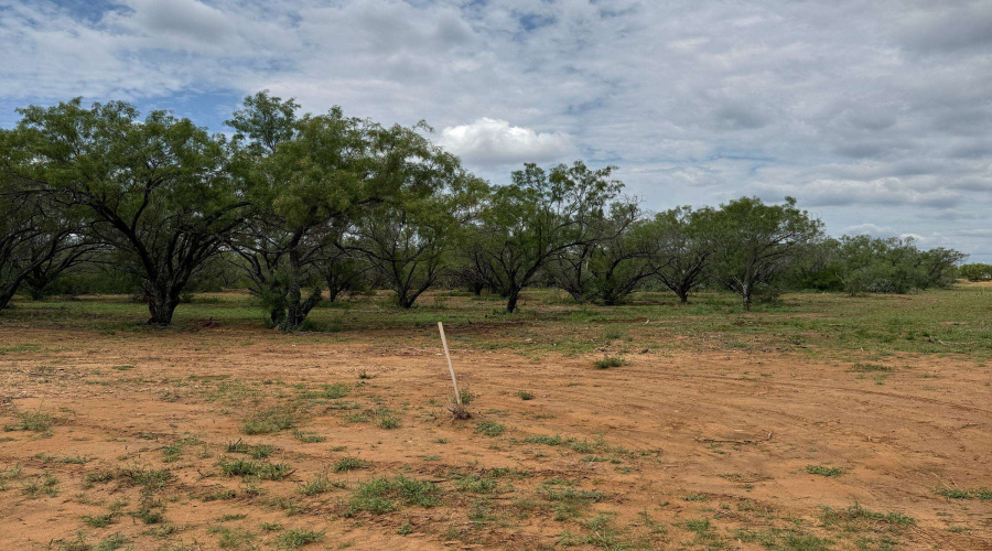 AB 27 Adams Beaty & Moulton SV-77, COTULLA, Texas 78014, ,Land,For Sale,AB 27 Adams Beaty & Moulton SV-77,20263518