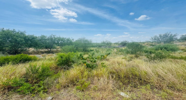 122 N Chele Rd., Falcon Heights, Texas 78545, ,Land,For Sale,122 N Chele Rd.,20263528