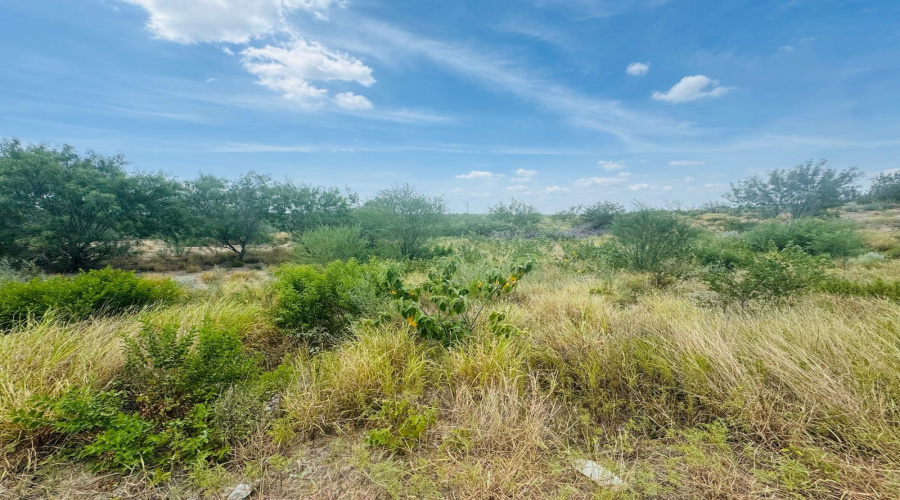 122 N Chele Rd., Falcon Heights, Texas 78545, ,Land,For Sale,122 N Chele Rd.,20263528