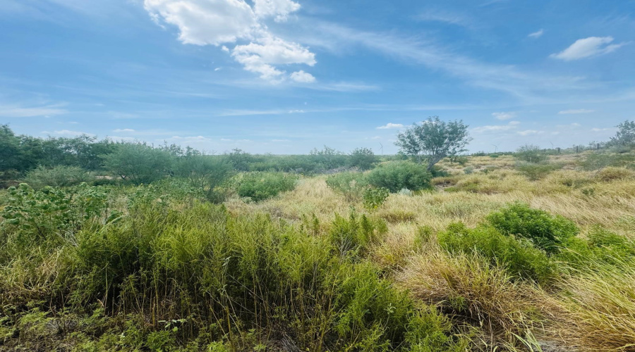 122 N Chele Rd., Falcon Heights, Texas 78545, ,Land,For Sale,122 N Chele Rd.,20263528