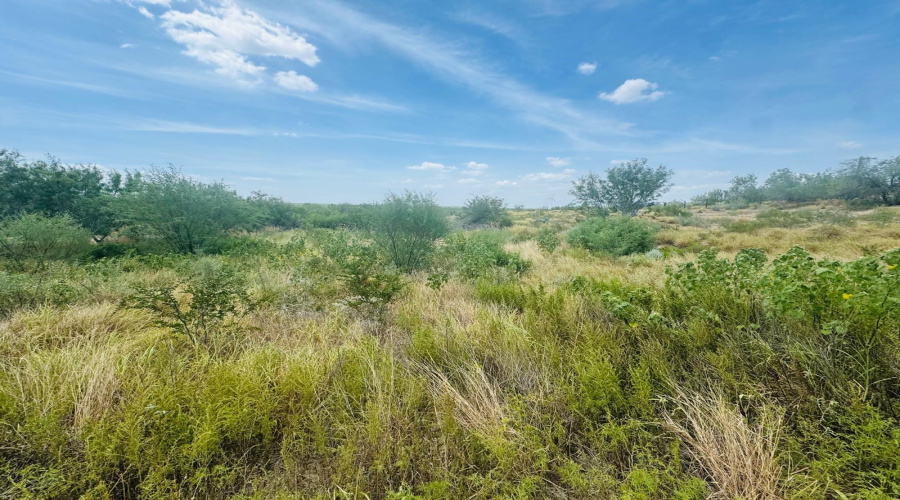 122 N Chele Rd., Falcon Heights, Texas 78545, ,Land,For Sale,122 N Chele Rd.,20263528