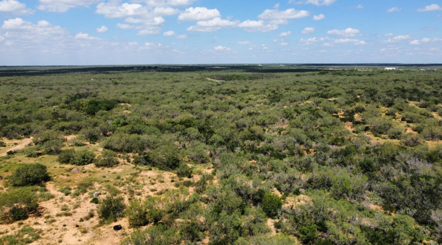 122 N Chele Rd., Falcon Heights, Texas 78545, ,Land,For Sale,122 N Chele Rd.,20263528