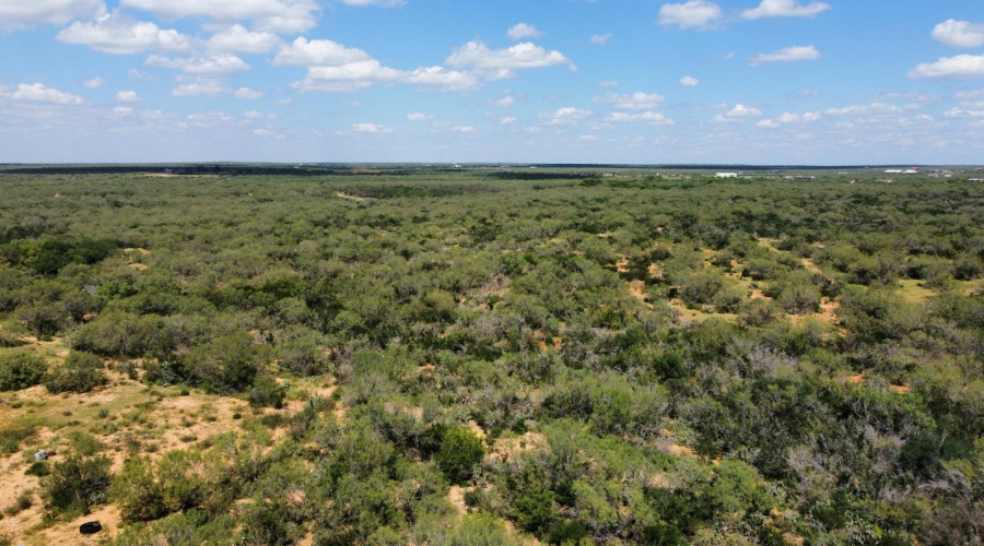 122 N Chele Rd., Falcon Heights, Texas 78545, ,Land,For Sale,122 N Chele Rd.,20263528