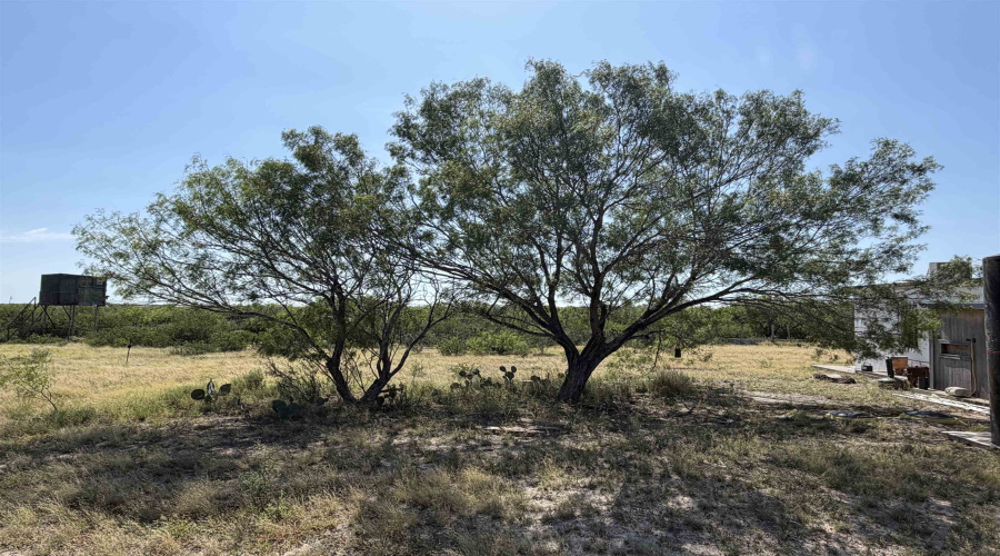 364 Ranch Road 7152L, LAREDO, Texas 78041, ,Land,For Sale,364 Ranch Road 7152L,20263531