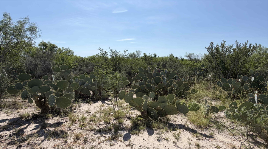364 Ranch Road 7152L, LAREDO, Texas 78041, ,Land,For Sale,364 Ranch Road 7152L,20263531