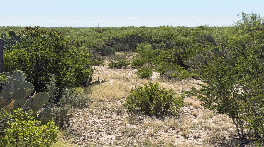364 Ranch Road 7152L, LAREDO, Texas 78041, ,Land,For Sale,364 Ranch Road 7152L,20263531