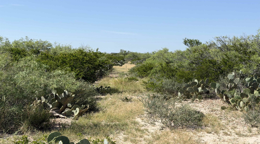 364 Ranch Road 7152L, LAREDO, Texas 78041, ,Land,For Sale,364 Ranch Road 7152L,20263531