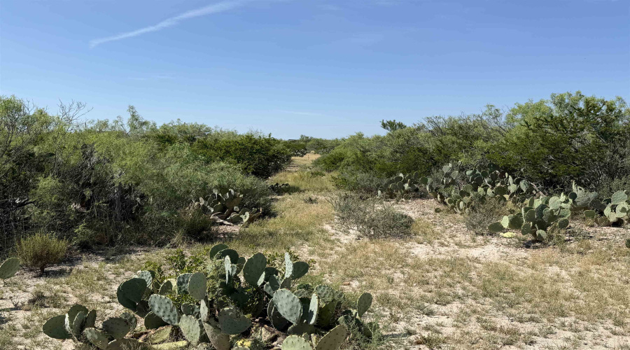 364 Ranch Road 7152L, LAREDO, Texas 78041, ,Land,For Sale,364 Ranch Road 7152L,20263531