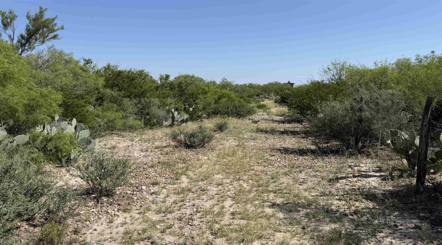364 Ranch Road 7152L, LAREDO, Texas 78041, ,Land,For Sale,364 Ranch Road 7152L,20263531