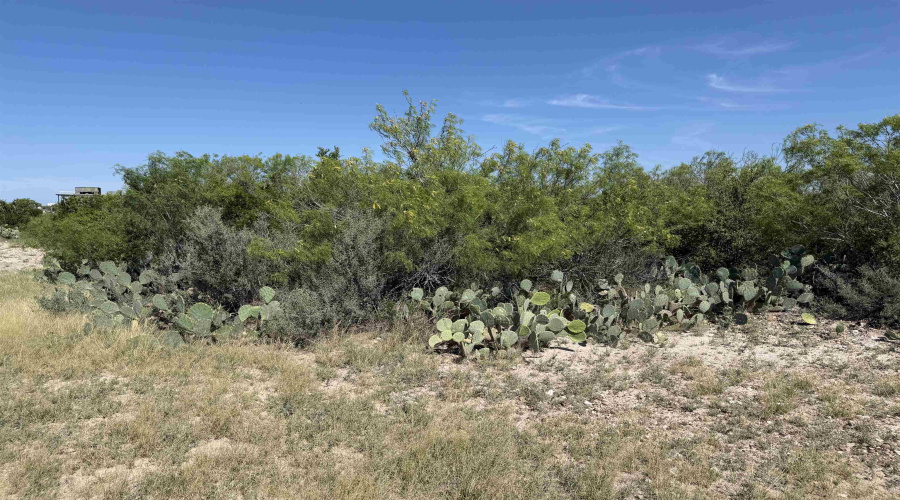 364 Ranch Road 7152L, LAREDO, Texas 78041, ,Land,For Sale,364 Ranch Road 7152L,20263531