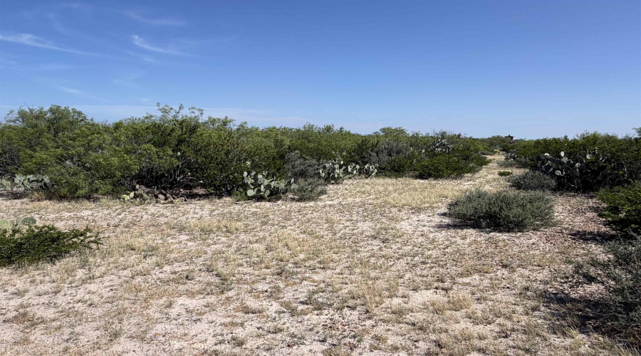 364 Ranch Road 7152L, LAREDO, Texas 78041, ,Land,For Sale,364 Ranch Road 7152L,20263531