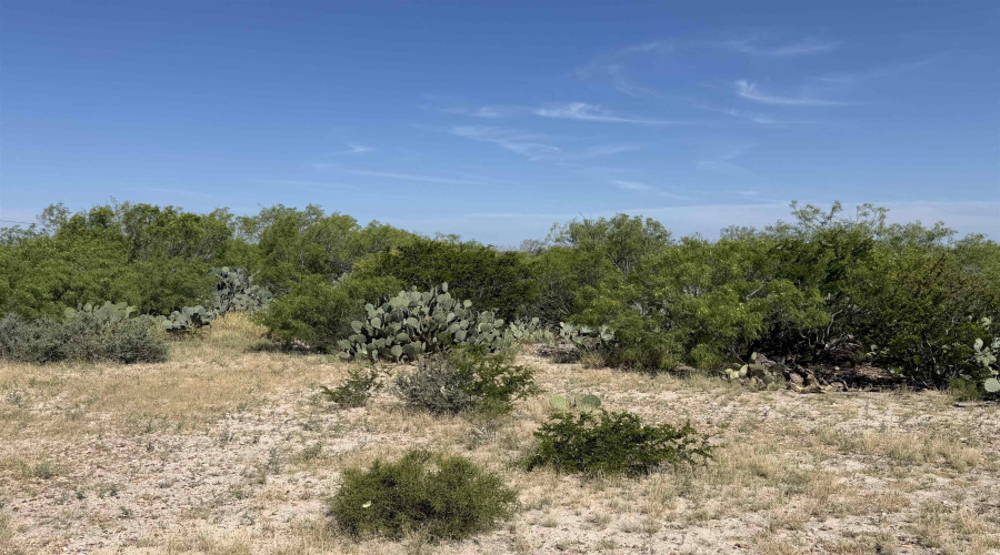 364 Ranch Road 7152L, LAREDO, Texas 78041, ,Land,For Sale,364 Ranch Road 7152L,20263531