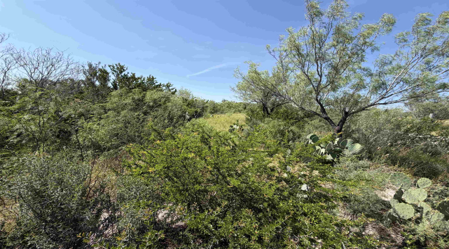 364 Ranch Road 7152L, LAREDO, Texas 78041, ,Land,For Sale,364 Ranch Road 7152L,20263531