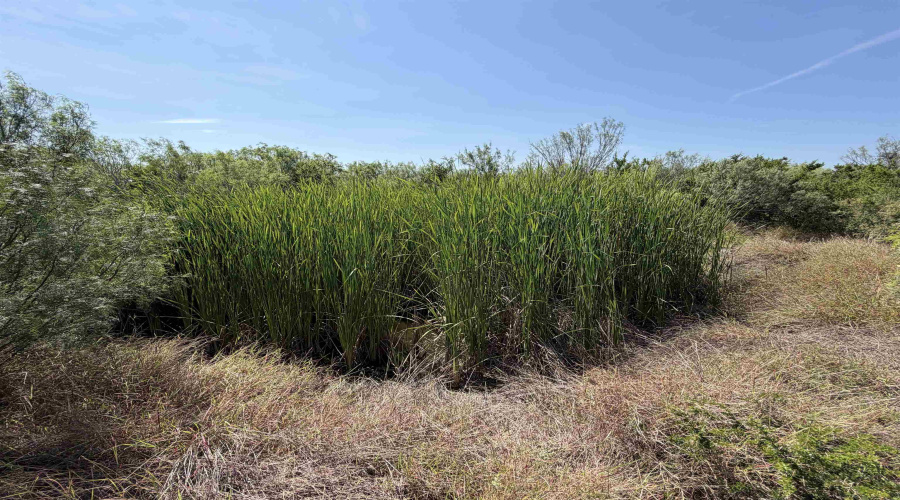364 Ranch Road 7152L, LAREDO, Texas 78041, ,Land,For Sale,364 Ranch Road 7152L,20263531