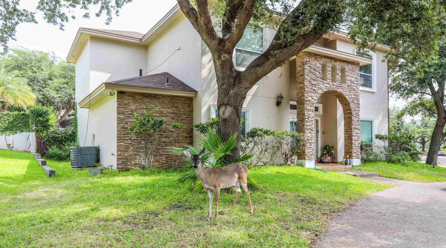 516 Finch Ln, laredo, Texas 78045, 5 Bedrooms Bedrooms, 9 Rooms Rooms,3 BathroomsBathrooms,Residential,For Sale,516 Finch Ln,20263556
