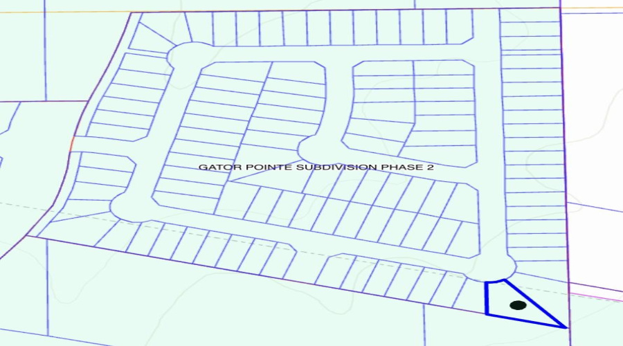 6015 Heather Loop, laredo, Texas 78046, ,Land,For Sale,6015 Heather Loop,20263602