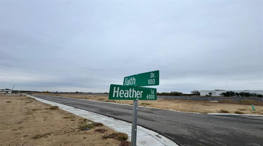 6015 Heather Loop, laredo, Texas 78046, ,Land,For Sale,6015 Heather Loop,20263602