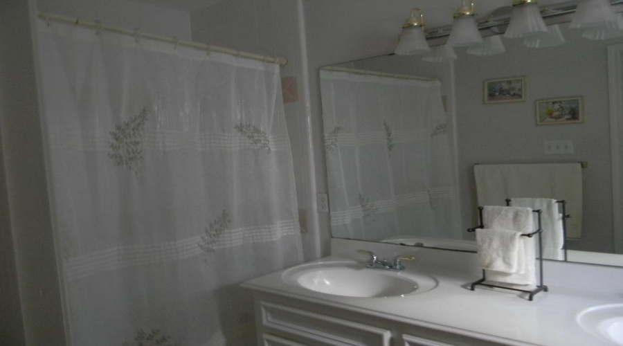 1804 Whitewood Dr, Laredo, Texas 78045, 3 Bedrooms Bedrooms, 7 Rooms Rooms,2 BathroomsBathrooms,Residential,For Rent,1804 Whitewood Dr,20263603