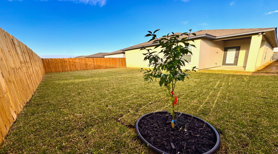1010 Amezquita Dr., LAREDO, Texas 78045, 3 Bedrooms Bedrooms, 6 Rooms Rooms,2 BathroomsBathrooms,Residential,For Rent,1010 Amezquita Dr.,20263619