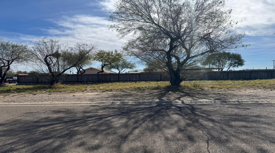 2213 Hidalgo Blvd., Zapata, Texas 78076-0000, ,Land,For Sale,2213 Hidalgo Blvd.,20250345