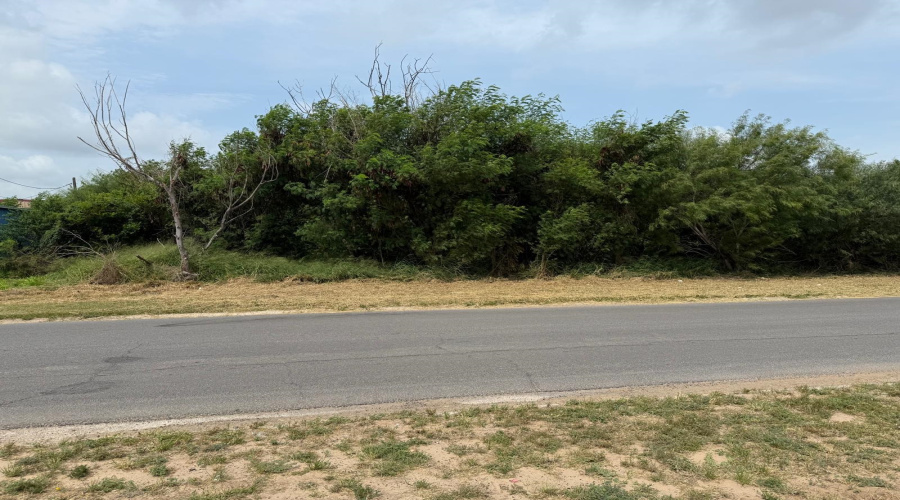 1309 13th St., Zapata, Texas 78076, ,Land,For Sale,1309 13th St.,20253083