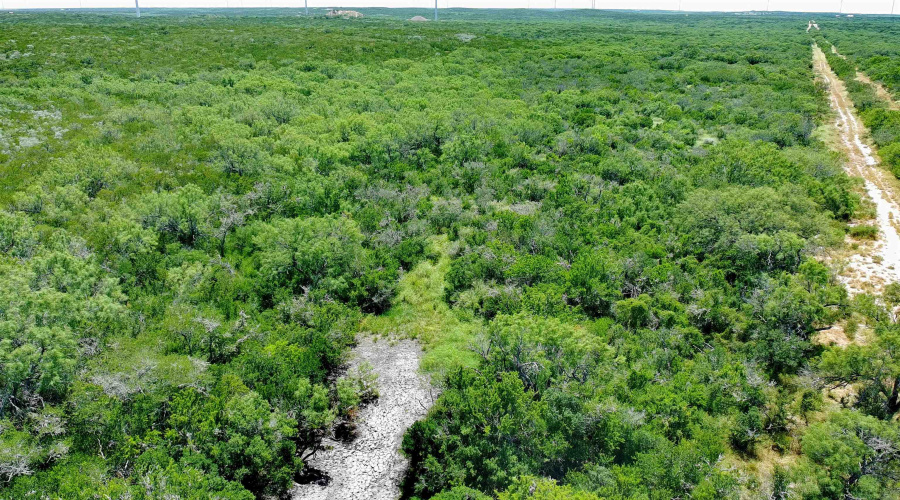 Tract 1 (173ac) San Pablo Ave, Bruni, Texas 78344, ,Land,For Sale,Tract 1 (173ac) San Pablo Ave,20263648