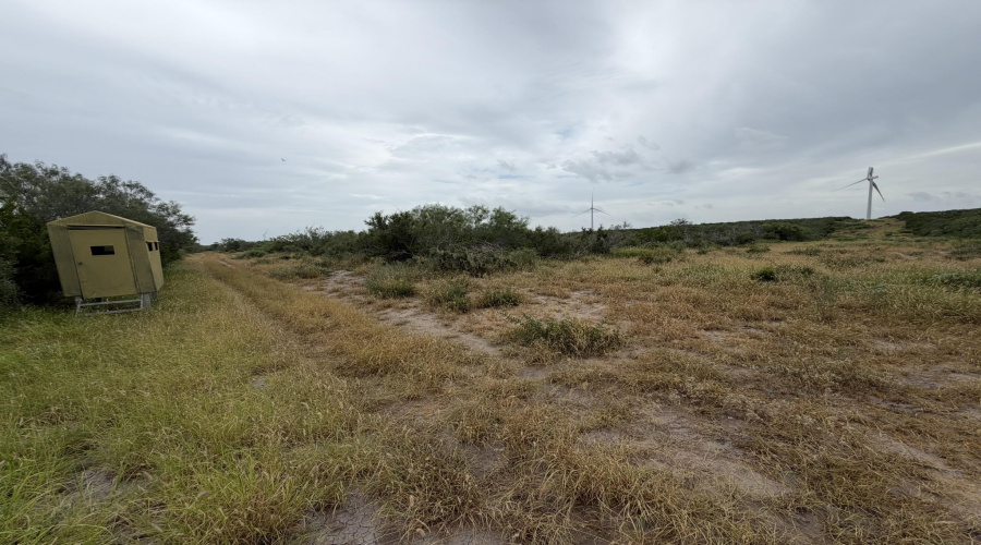 Tract 1 (173ac) San Pablo Ave, Bruni, Texas 78344, ,Land,For Sale,Tract 1 (173ac) San Pablo Ave,20263648
