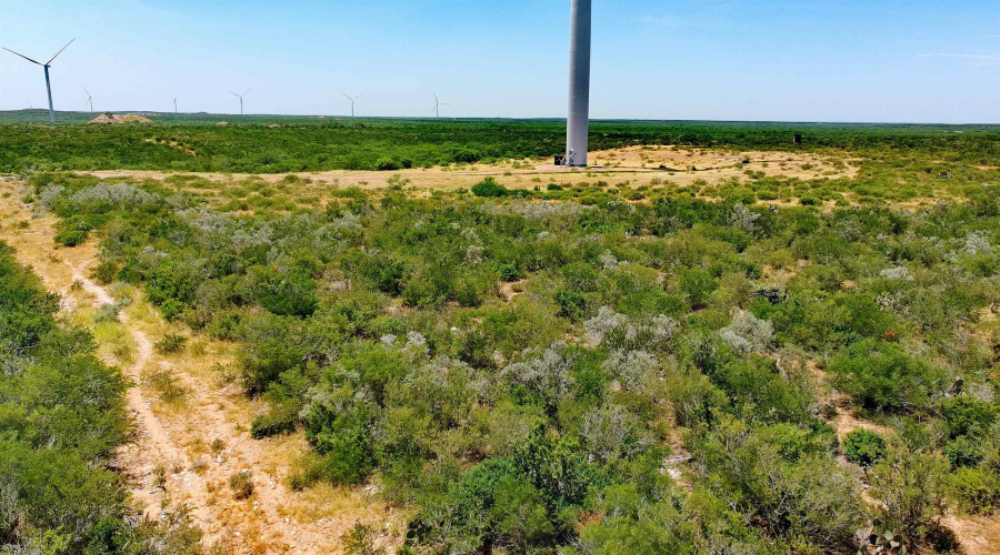 Tract 1 (173ac) San Pablo Ave, Bruni, Texas 78344, ,Land,For Sale,Tract 1 (173ac) San Pablo Ave,20263648