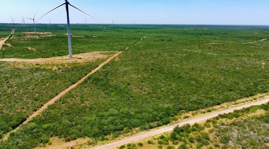 Tract 1 (173ac) San Pablo Ave, Bruni, Texas 78344, ,Land,For Sale,Tract 1 (173ac) San Pablo Ave,20263648