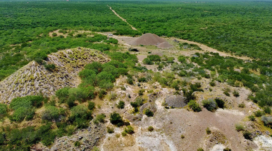Tract 2 (47 ac) San Pablo Ave, Bruni, Texas 78344, ,Land,For Sale,Tract 2 (47 ac) San Pablo Ave,20263650