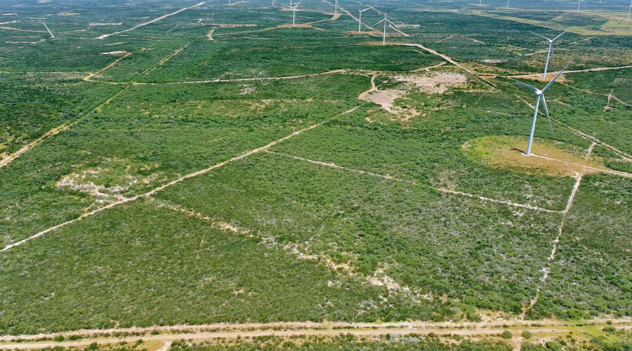 Tract 2 (47 ac) San Pablo Ave, Bruni, Texas 78344, ,Land,For Sale,Tract 2 (47 ac) San Pablo Ave,20263650