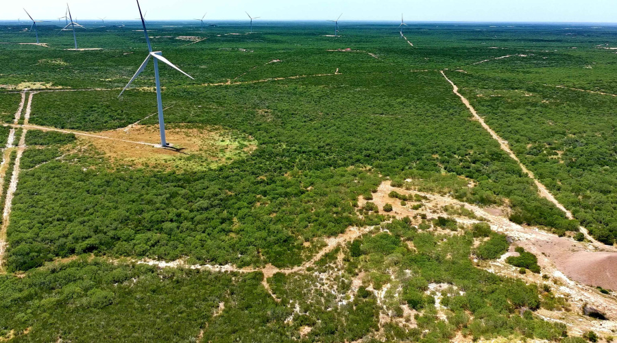 Tract 3 (117ac) San Pablo Ave, Bruni, Texas 78344, ,Land,For Sale,Tract 3 (117ac) San Pablo Ave,20263651