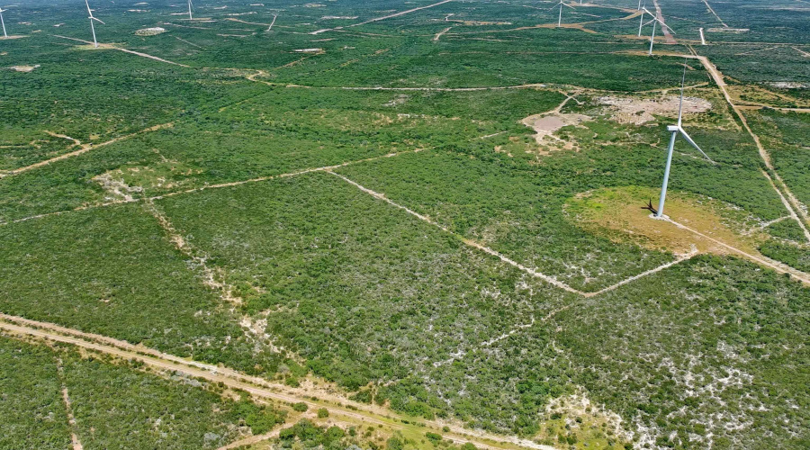 Tract 3 (117ac) San Pablo Ave, Bruni, Texas 78344, ,Land,For Sale,Tract 3 (117ac) San Pablo Ave,20263651