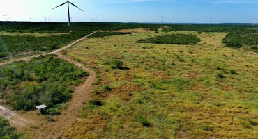 TRACT 4 (56AC) San Pablo Ave, Bruni, Texas 78344, ,Land,For Sale,TRACT 4 (56AC) San Pablo Ave,20263655